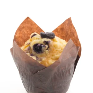 Blueberry muffin
